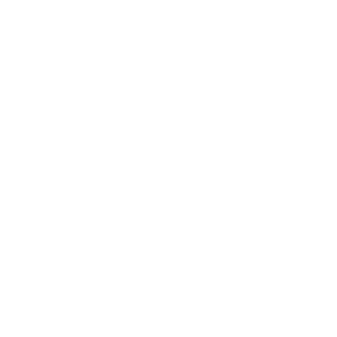 BoomPhones