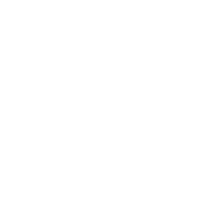 The Public Theater NYC