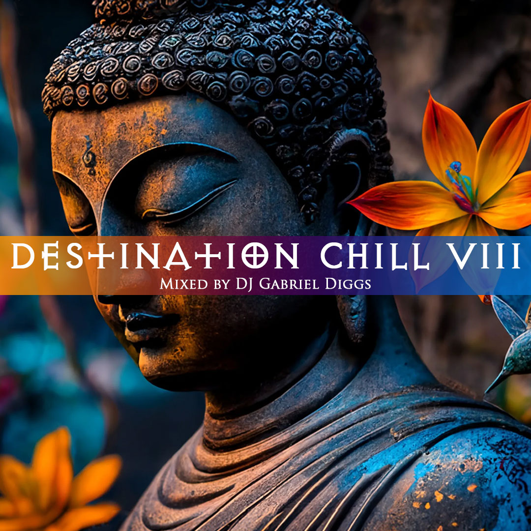 Destination Chill : Vol. 8